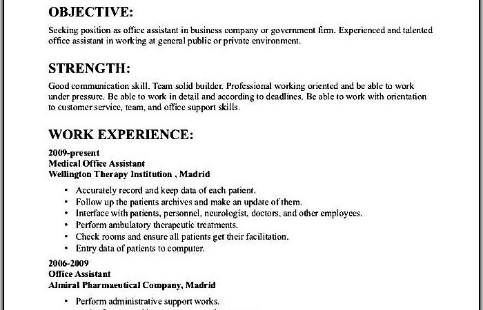 Example Of Resumes For Jobs