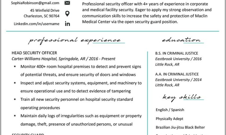 Example Of Security Officer Resume