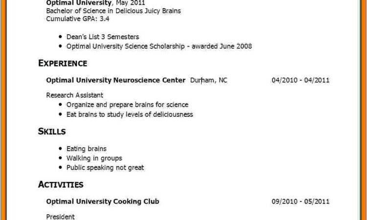 Example Of Simple Resume For Job Application