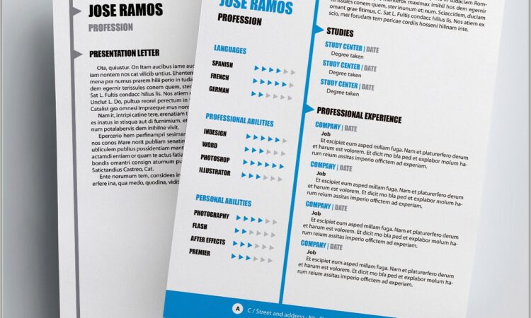 Examples Of Principal Resumes Templates