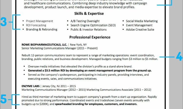 Examples Of Professional Resumes For Business