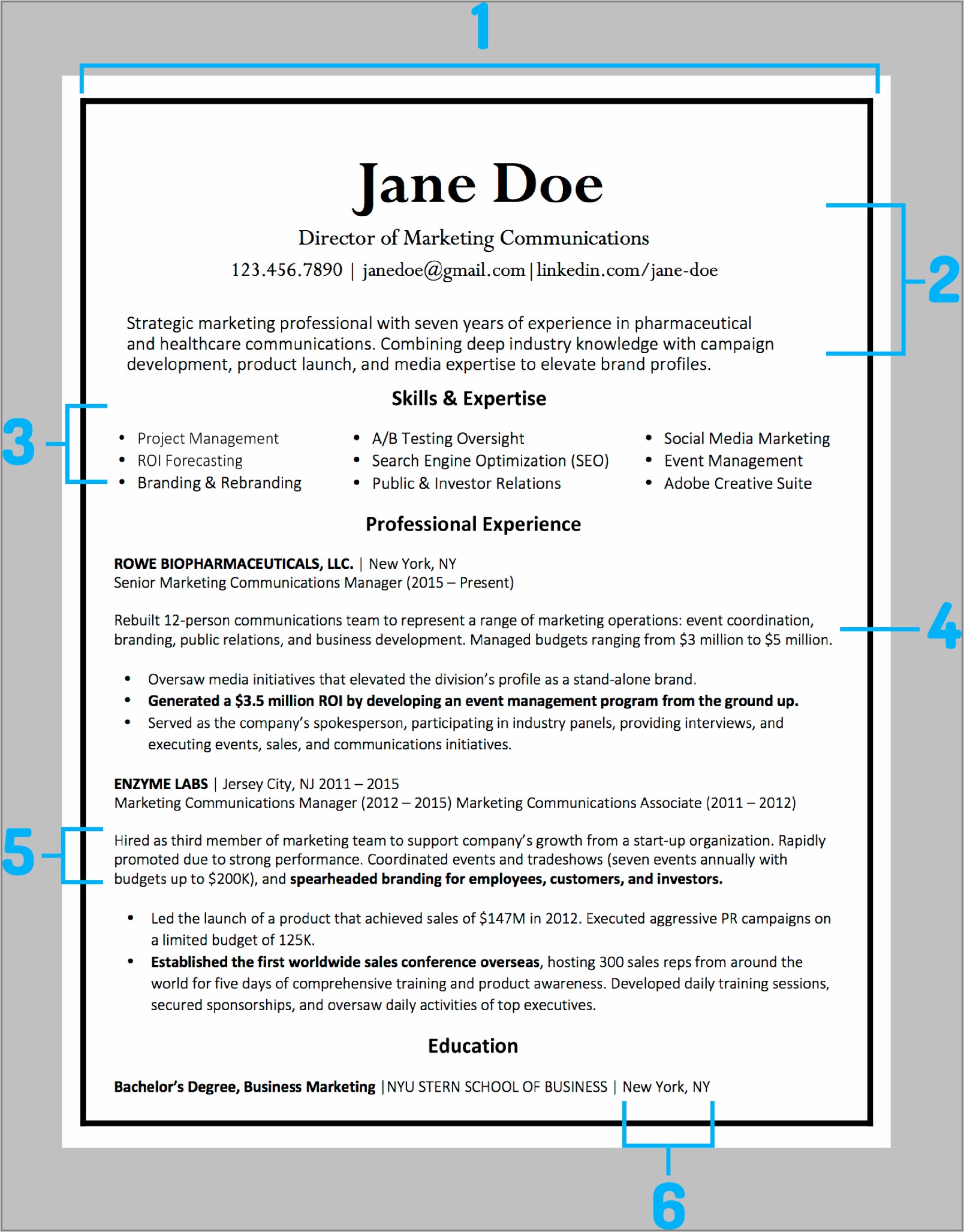 Examples Of Professional Resumes For Business