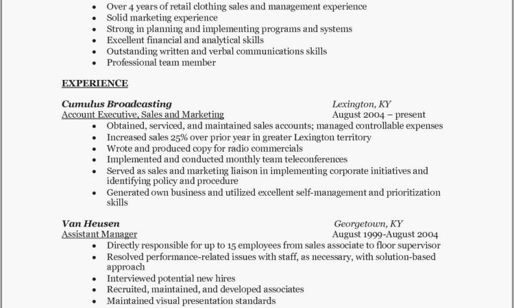 Examples Of Professional Resumes For Teachers