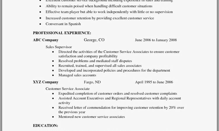 Examples Of Resumes For Customer Service Representative