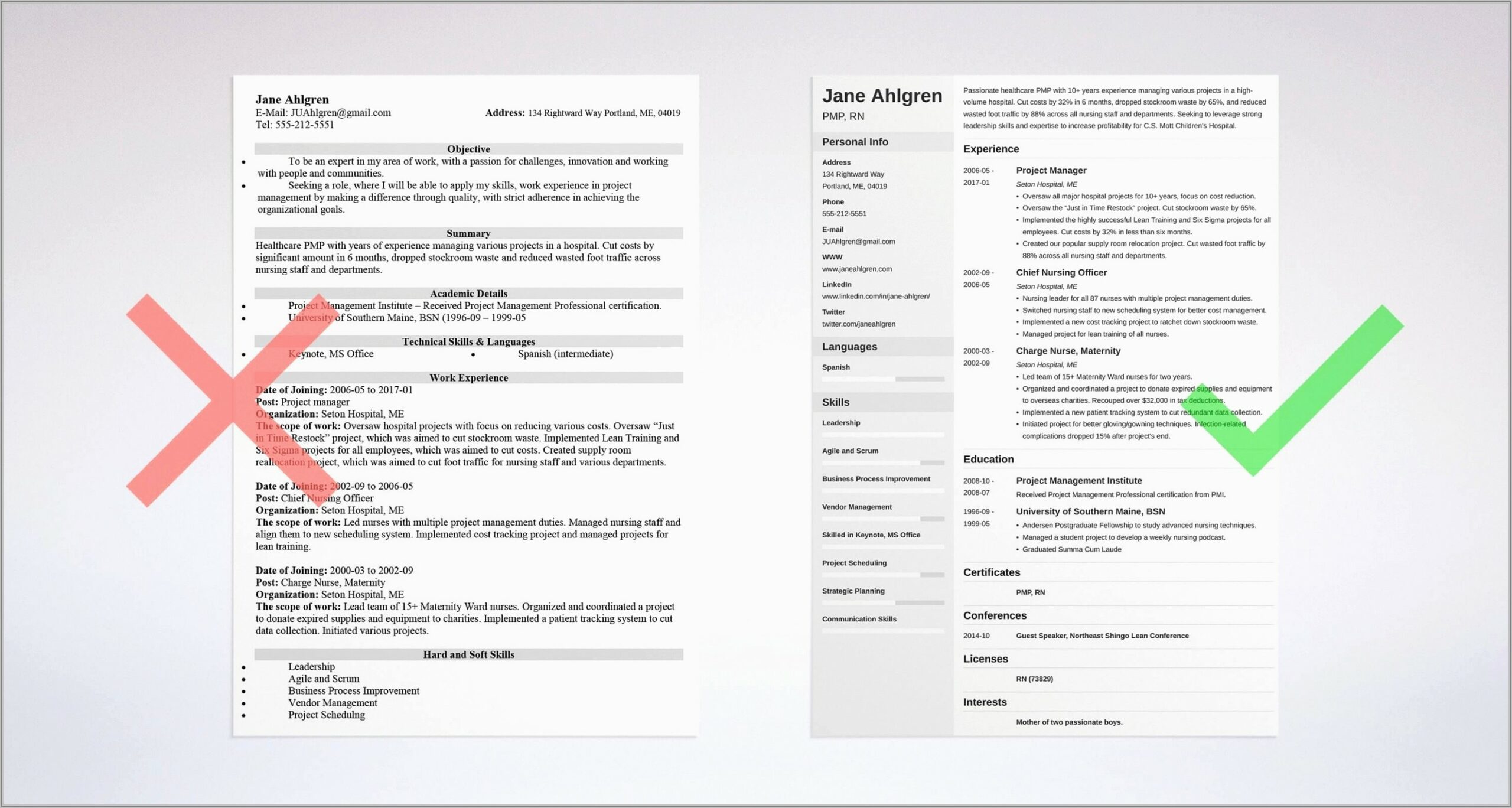 Examples Of Resumes For Project Managers