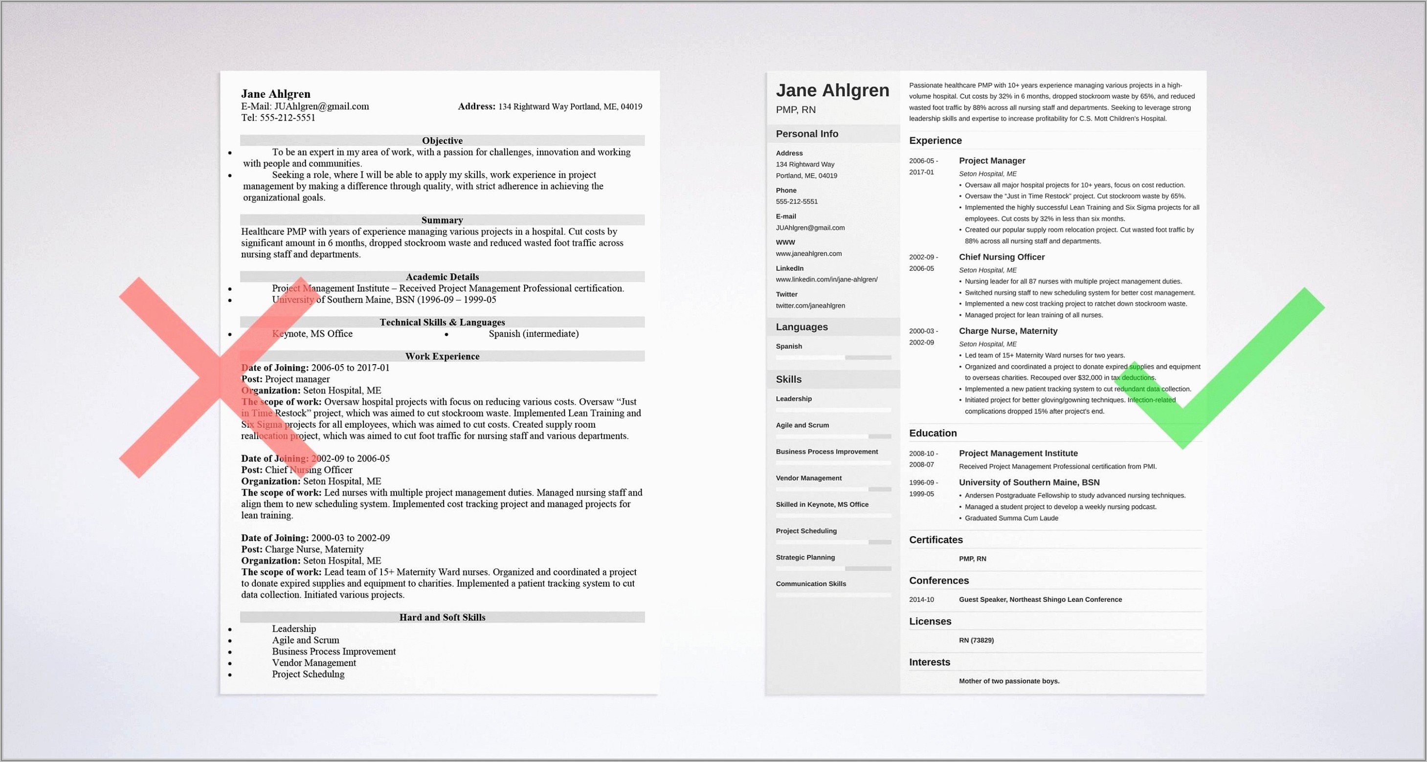 Examples Of Resumes For Project Managers