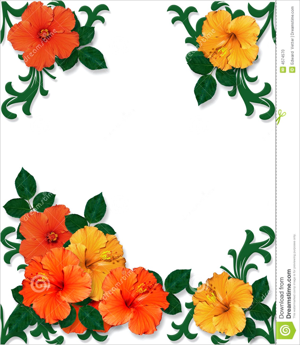 Floral Images For Invitations