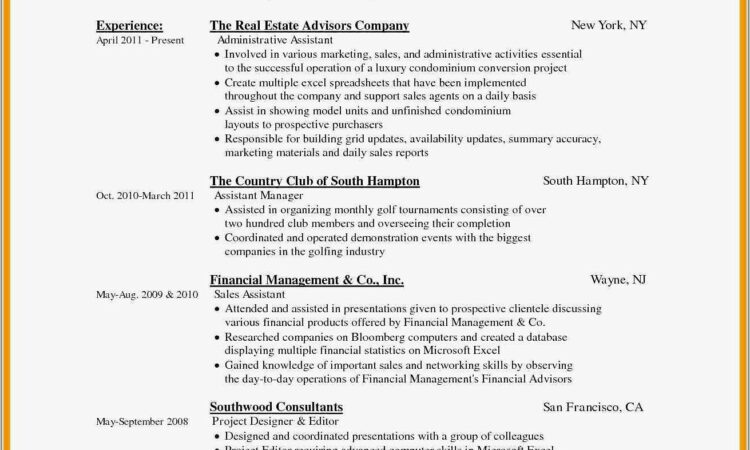 Free Basic Resume Templates Download