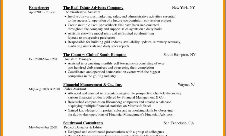 Free Chronological Cv Template