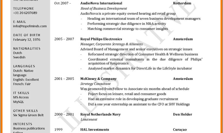 Free Cv Sample Pdf