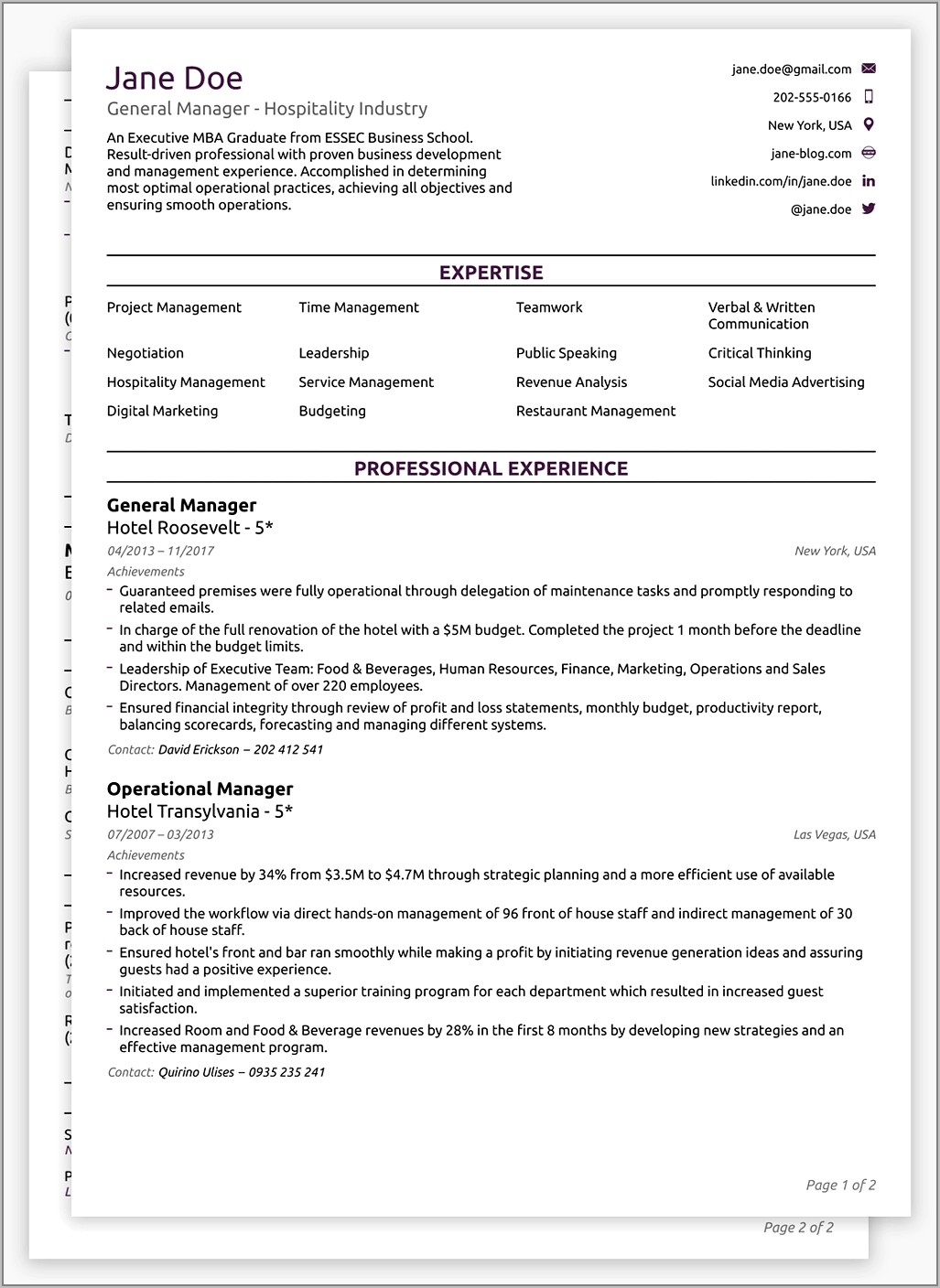 Free Download Professional Cv Word Format