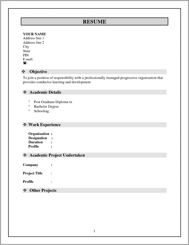 Free Download Professional Resume Format