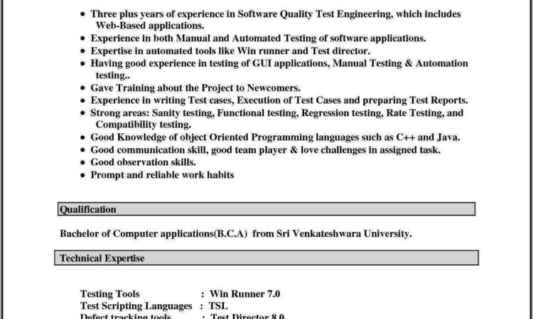 Free Download Resume Format In Word 2007