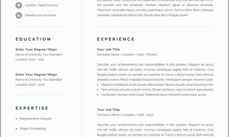 Free Downloadable Blank Ms Word Resume Templates