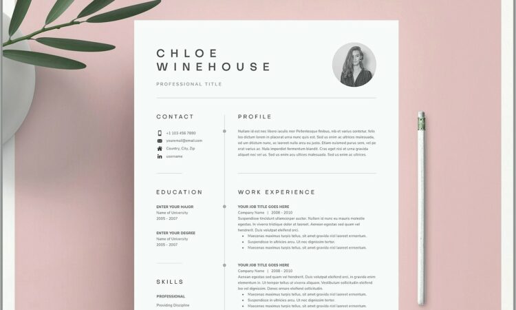 Free Editable Resume Templates For Word