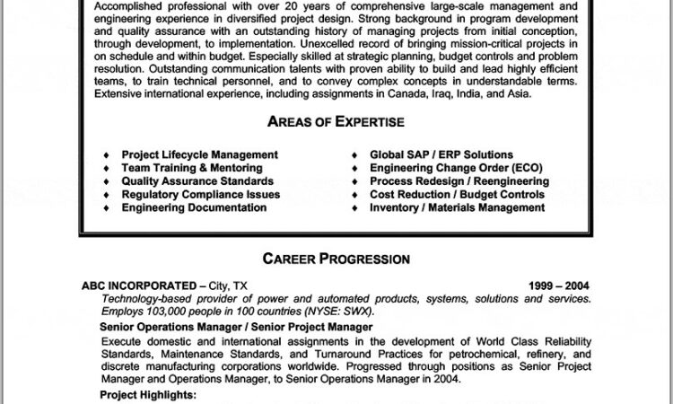 Free Entry Level Resume Templates Download