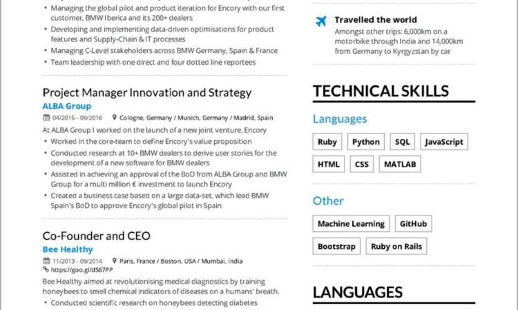 Free Entry Level Resume Templates For Word