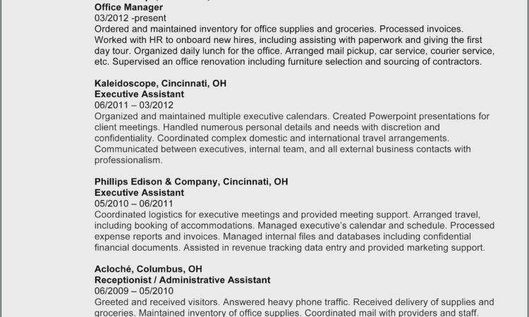 Free Executive Resume Templates 2015