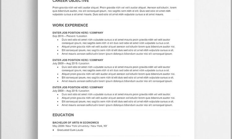 Free Microsoft Word Resume Templates Download