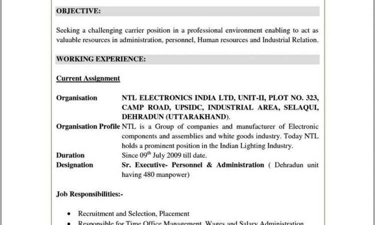 Free Professional Resume Samples Pdf