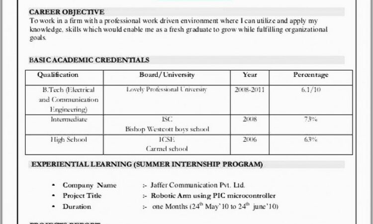 Free Professional Resume Templates Microsoft Word 2007