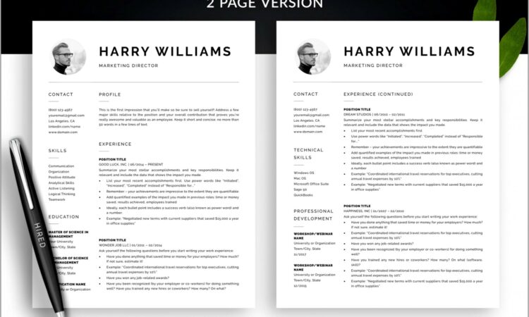 Free Resume Templates Apple Pages