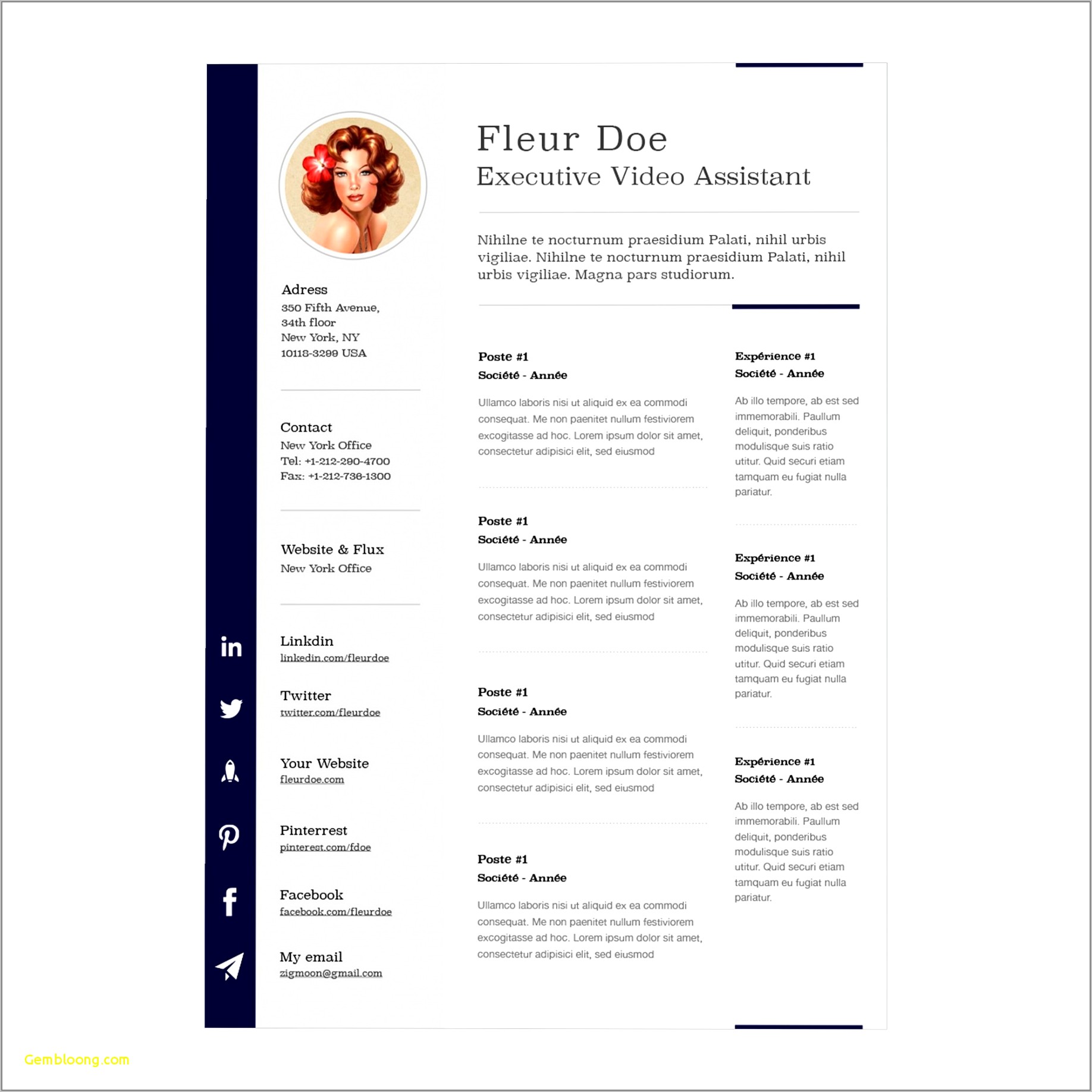 Free Resume Templates For Mac Pages