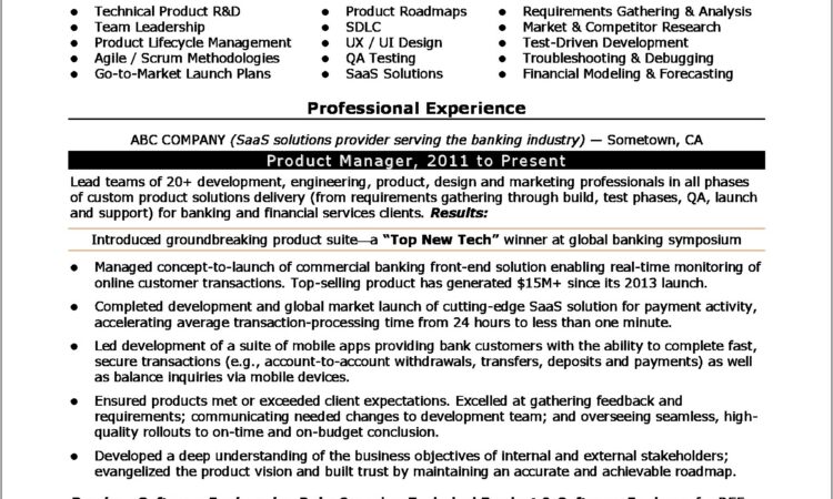 Free Resume Templates For Project Managers