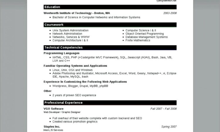 Free Resume Templates Microsoft Office Word 2007