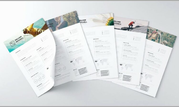 Free Resume Templates Microsoft Word 2008