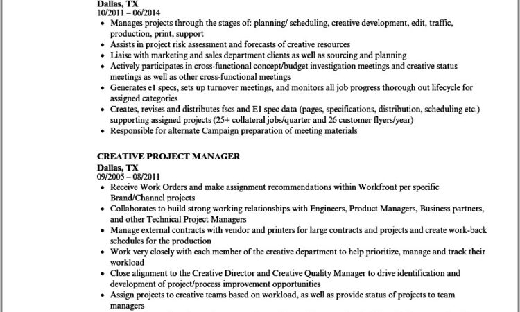 Free Resume Templates Senior Project Manager