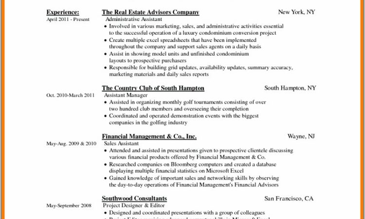 Free Template Cv Microsoft Word