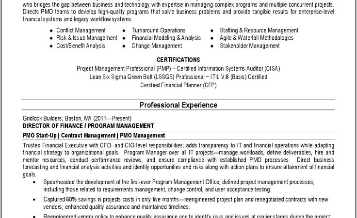 Functional Resume Template For Project Manager