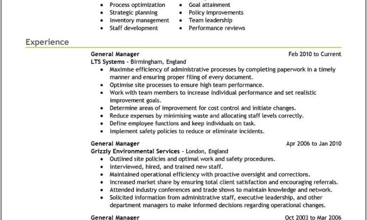 Good Cv Examples For Executives