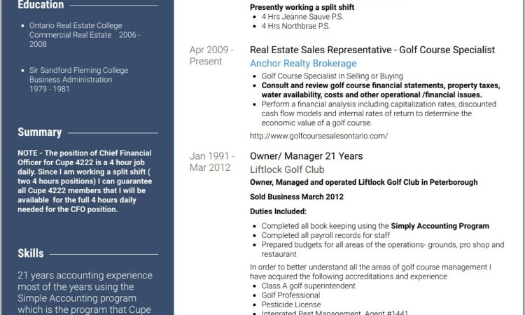 Good Resume For Sales Position