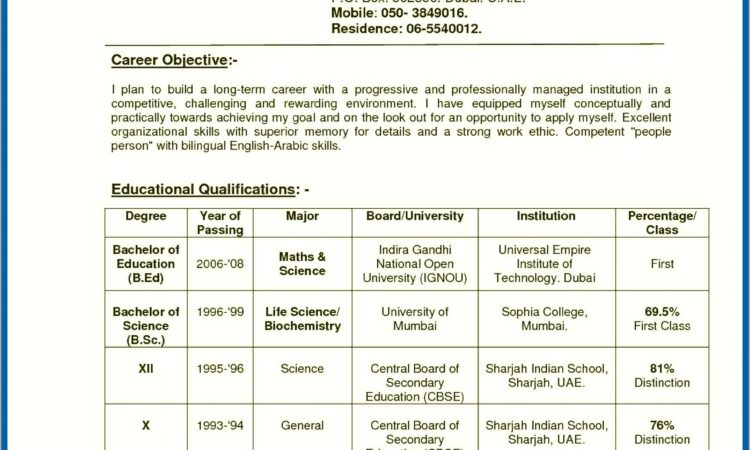 Indian Teacher Resume Templates Microsoft Word 2007