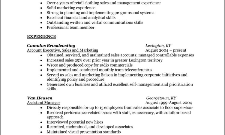 Insurance Sales Resumes Examples Free