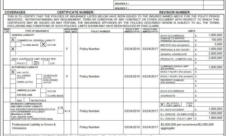 Latest Resume Format Doc Free Download