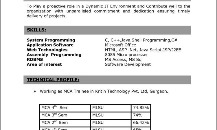 Latest Resume Format For Mba Freshers