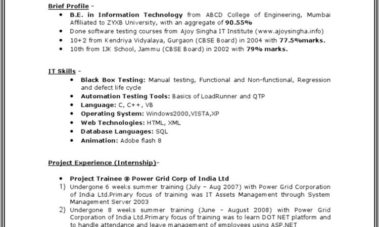 Manual Testing Resume Format For Freshers