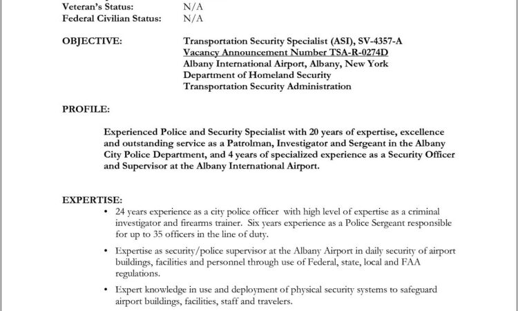 Military Police To Civilian Resume Examples