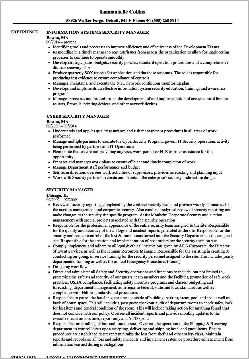 Network Security Manager Resume Sample