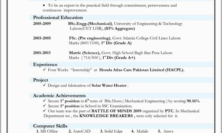 Network Security Resume Sample