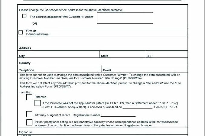 Non Provisional Utility Patent Example