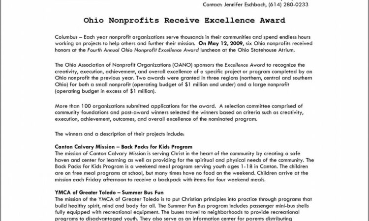 Nonprofit Press Release Example