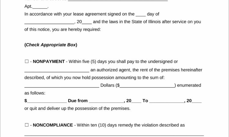 Notice Of Motion Eviction Template