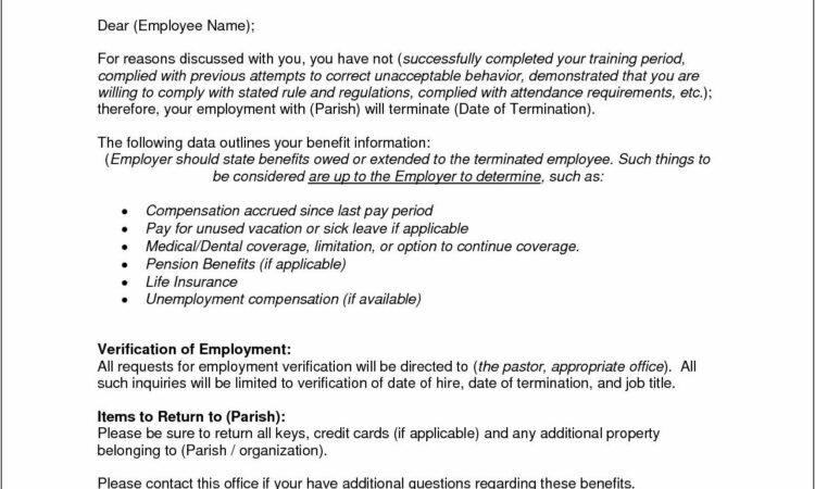 Notice Termination Of Employment Letter