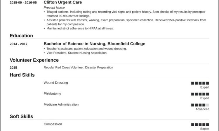 Nurse Practitioner Resume Template Free