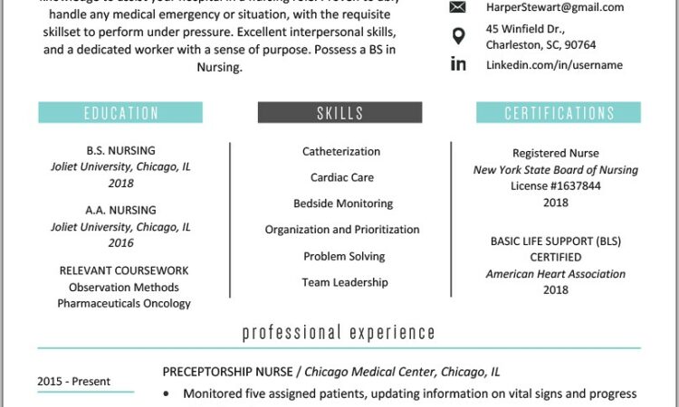 Nurse Resume Template Free