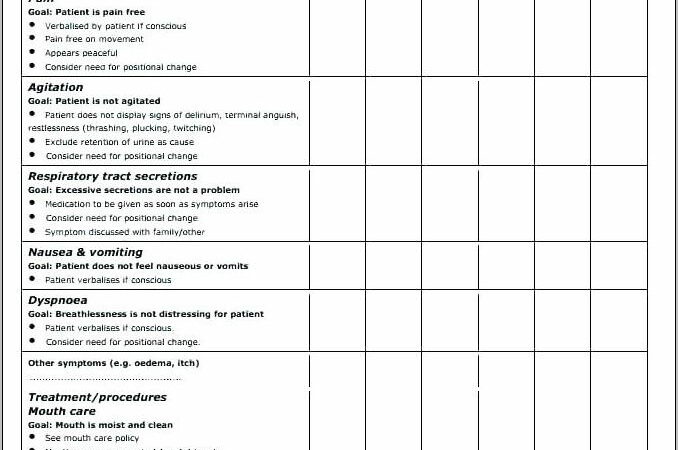 Nursing Care Plan Example Pdf